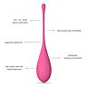 Kegel sett Leslie med 6 vekter for bekkenbunnstrening