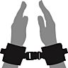 Håndjern Loving Joy Beginners Wrist Restraints