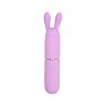 Rabbit Vibrator NAUTI Petites 10 funksjoner