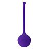 Silicone balls INTENSE HEALTH KEGEL KISHA FIT ONE