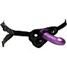Anal Explorer Kit Sportsheets - Trygg og komfortabel anal stimulering