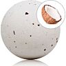 Kokosduftende Bomba TALOKA med Rosenblader