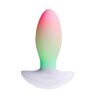 Vibratør Paradise Pleasure The Plug med RGB-belysning