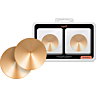 Nippelbeskyttelse Coquette Accessories Golden Circles