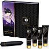 Parsett SHUNGA KITS NAUGHTY GEISHA KIT med spennende produkter