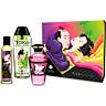 Couple Kit SHUNGA Fruity Kisses Collection