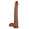 DILDOS TERIN PLUS realistisk dildo med sugekopp