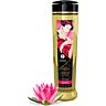 Massasjeolje SHUNGA EROTIC LOVE 240 ML med søt lotus