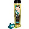 Massasjeolje SHUNGA 240 ml med ylang-ylang