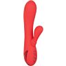 Rabbit vibrador CALEXOTICS PALISADES PASSION RED med varme