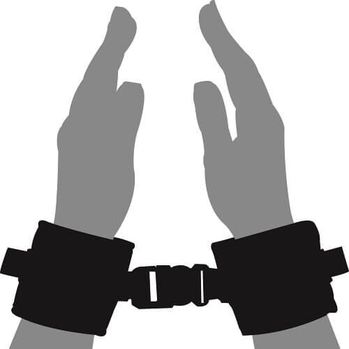 Håndjern Loving Joy Beginners Wrist Restraints