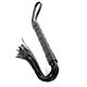 BDSM Pisk FETISH FANTASY SERIES First-Time Flogger